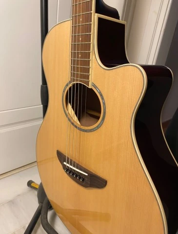 Yamaha APX600