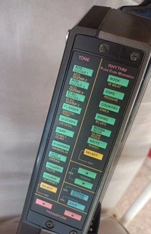 Casio DG-20 Digital Guitar 