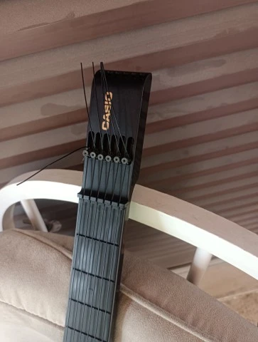 Casio DG-20 Digital Guitar 
