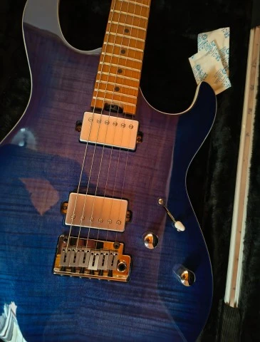 CORT G290 FAT ii