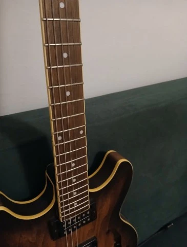 Ibanez Artcore + Gator hardcase