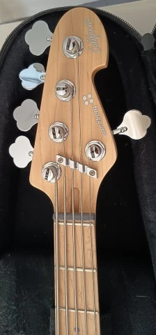 SANDBERG California VM5