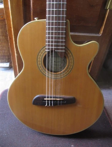 Washburn NV-100C Ηλεκτροκλασσική