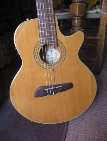 Washburn NV-100C Ηλεκτροκλασσική