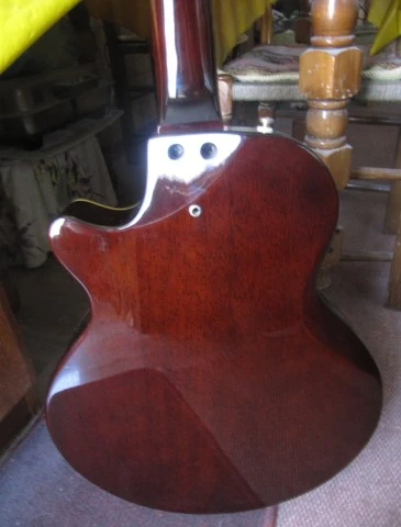 Washburn NV-100C Ηλεκτροκλασσική