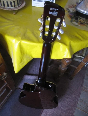 Washburn NV-100C Ηλεκτροκλασσική