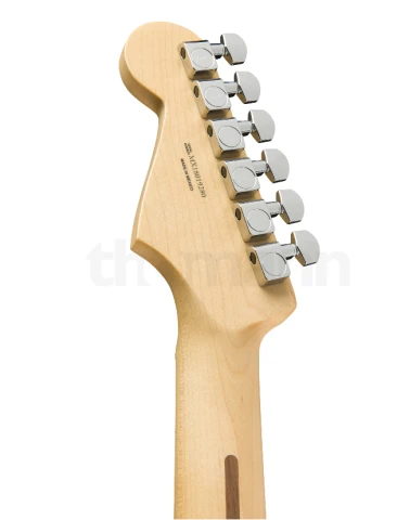 Fender Stratocaster (Player Series)