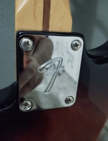 Fender Stratocaster (Player Series)