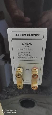 Aurum Cantus M103 200watt