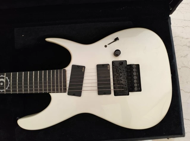 Dean Rusty Cooley Signature 7-String(Korea) + Hard Case