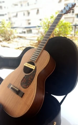 Larrivee P-03WW (All American Walnut) parlor