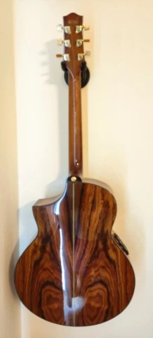 Ibanez EW50CBENT1201 Electro Acoustic κατάστασ