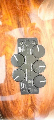Ibanez EW50CBENT1201 Electro Acoustic κατάστασ