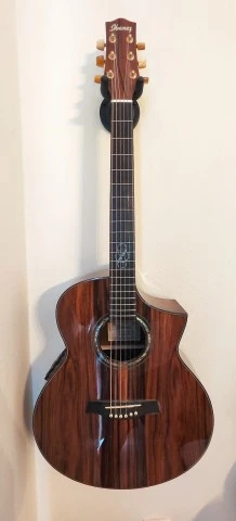 Ibanez EW50CBENT1201 Electro Acoustic κατάστασ