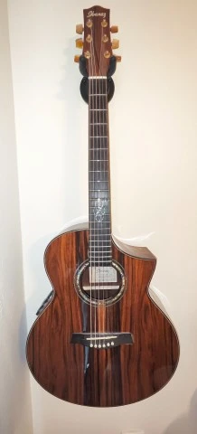 Ibanez EW50CBENT1201 Electro Acoustic κατάστασ