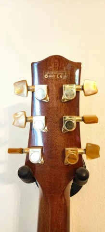 Ibanez EW50CBENT1201 Electro Acoustic κατάστασ