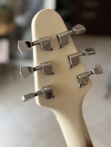 Flying V James Hetfield OGV Tribute