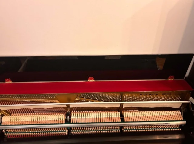 Yamaha Eterna by Pearl River ER-C10