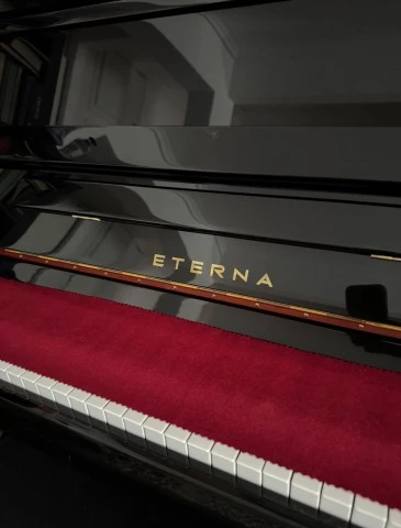 Yamaha Eterna by Pearl River ER-C10