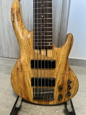 ESP LTD B206 6χορδο