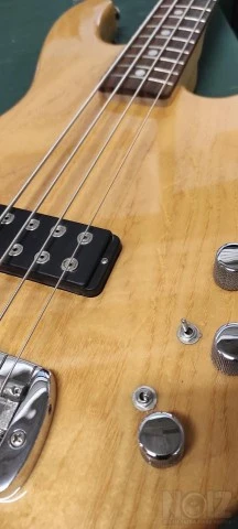 G&L L1500