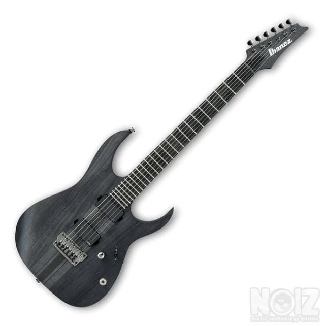 Ibanez Iron Label RGIT20FE