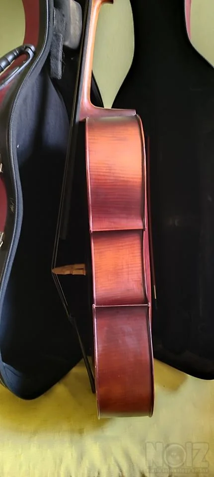 Τσέλο 4/4 CM130 f.ziegler με θήκη