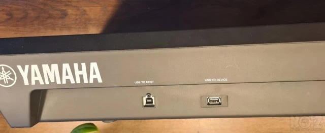 Yamaha Modx6