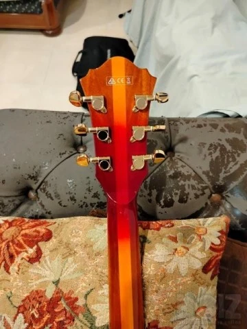 Ibanez AF151