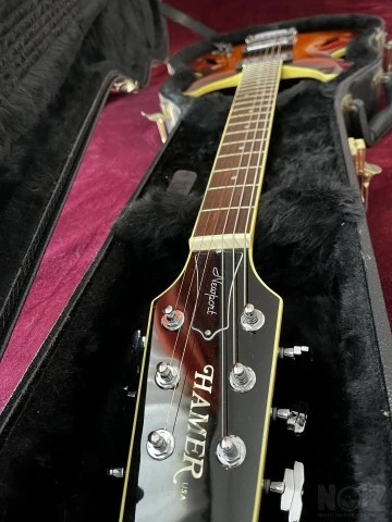 Hamer Newport Pro