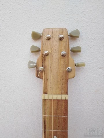 DIY Lap steel guitar.