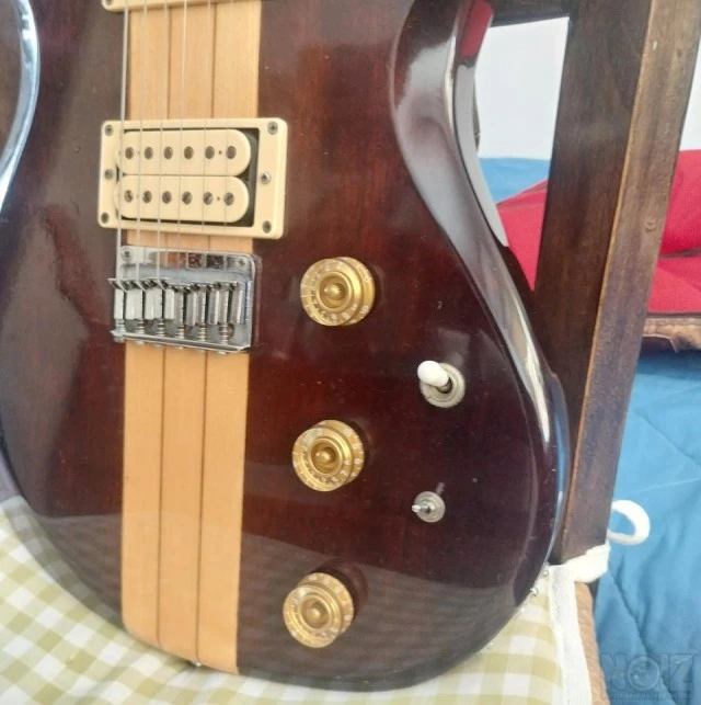 Aria Pro II TS-350 Thor-Sound Series Ele