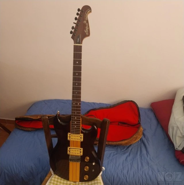 Aria Pro II TS-350 Thor-Sound Series Ele