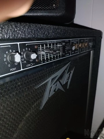 Peavey TKO75