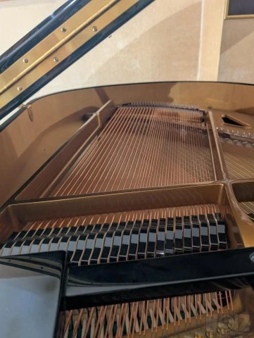 Πιάνο Bohemia 156A Martinu