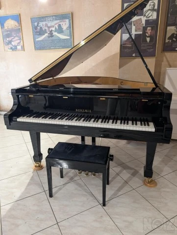 Πιάνο Bohemia 156A Martinu