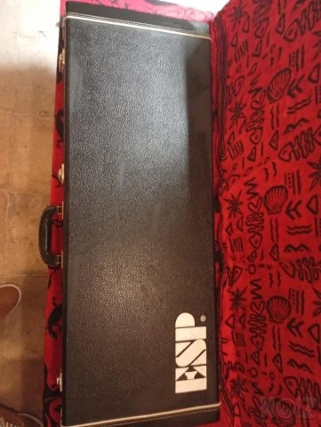 Esp/Ltd 400b Baritone με την βαλίτσα της
