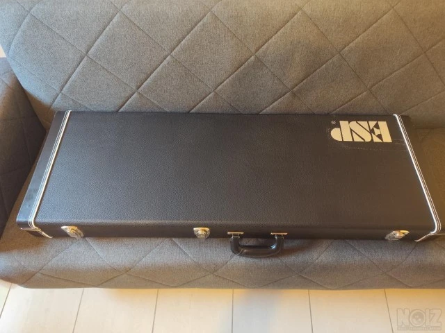 ESP LTD Phoenix Black Metal
