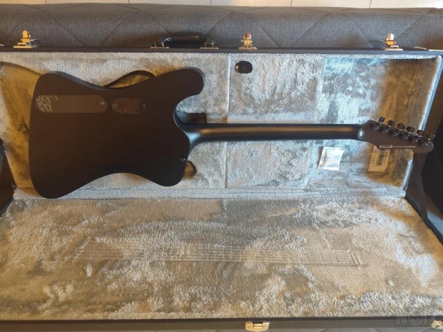 ESP LTD Phoenix Black Metal