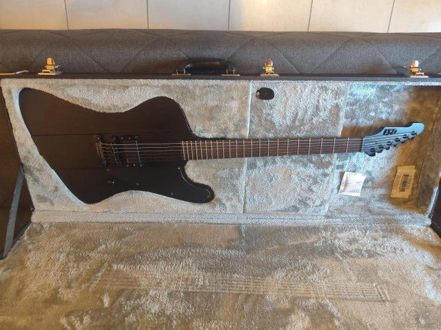 ESP LTD Phoenix Black Metal