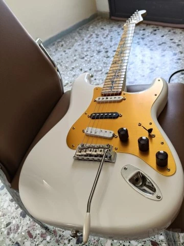 Fender player MIM