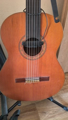 Alhambra 4P Fretless