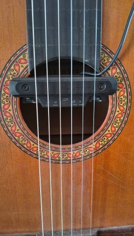 Alhambra 4P Fretless