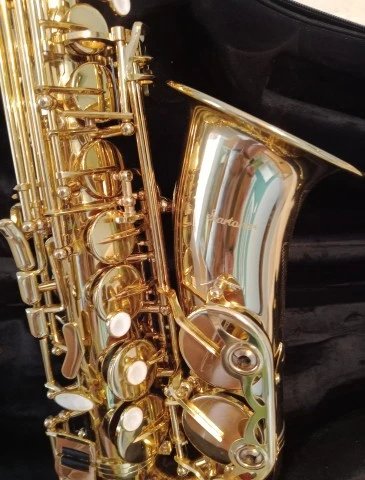 Alto Startone με θήκη &amp; αξεσουάρ