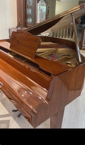 Γερμανικό Πιάνο με ουρά Baby Grand Zimmermann (Λουστραρισμένη Καρυδιά)