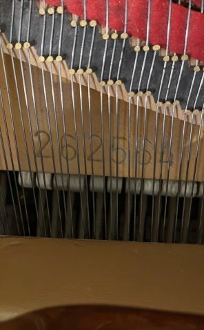 Γερμανικό Πιάνο με ουρά Baby Grand Zimmermann (Λουστραρισμένη Καρυδιά)