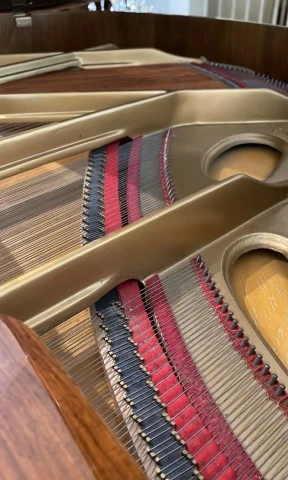 Γερμανικό Πιάνο με ουρά Baby Grand Zimmermann (Λουστραρισμένη Καρυδιά)