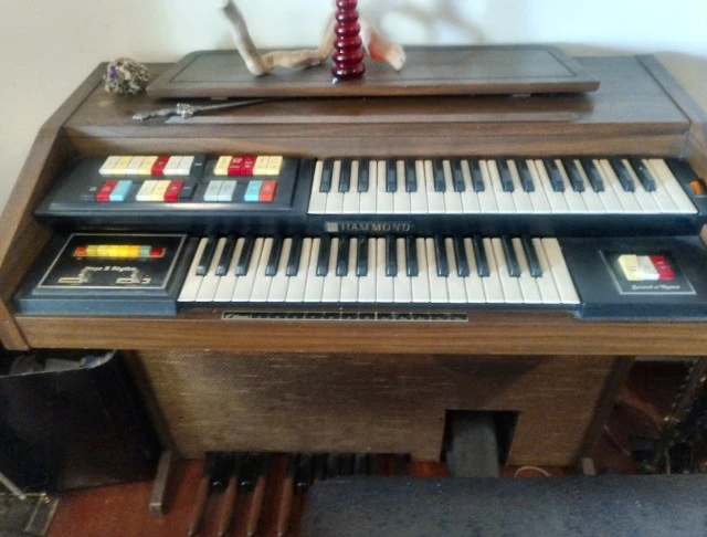 Organ hammond 