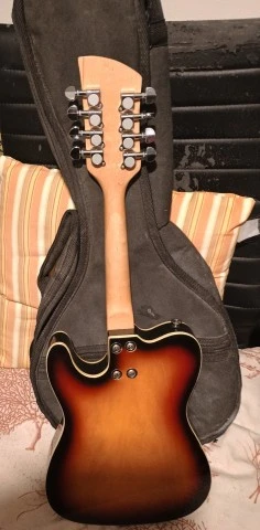 Harley Benton MA-500 VS Bluegrass Series + θήκη