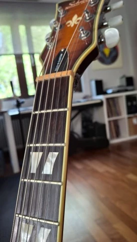 Schecter Solo-6 Custom